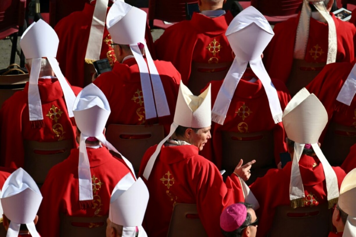 Cardinals from around the world attended the funeral of Pope Francis