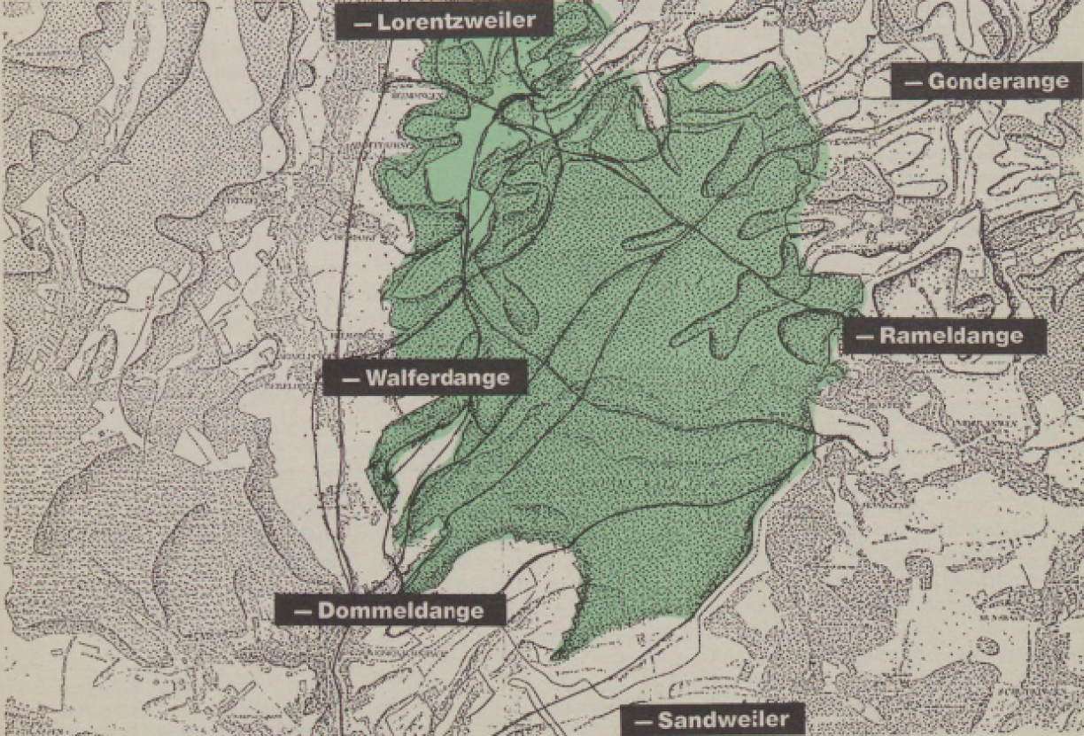 The Grünewald forest in 1790.