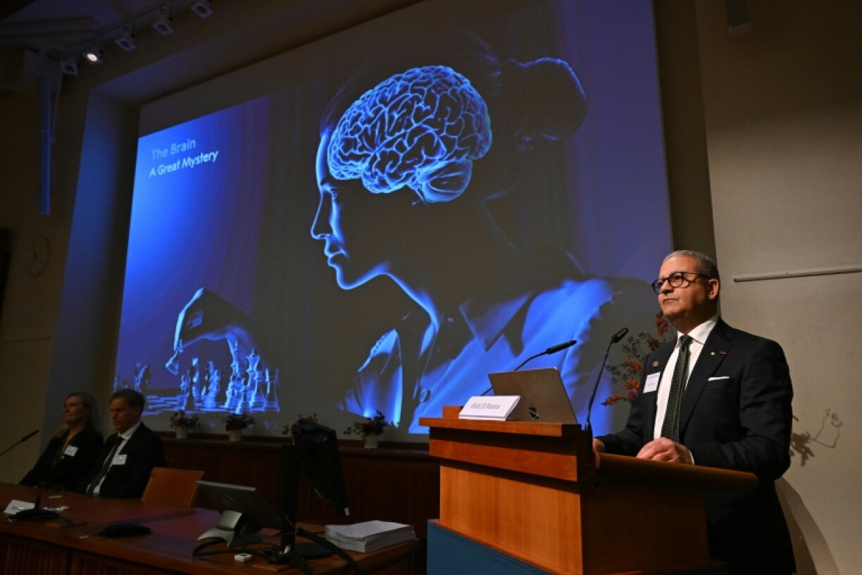 The Nobel committee announced the winners in Stockholm