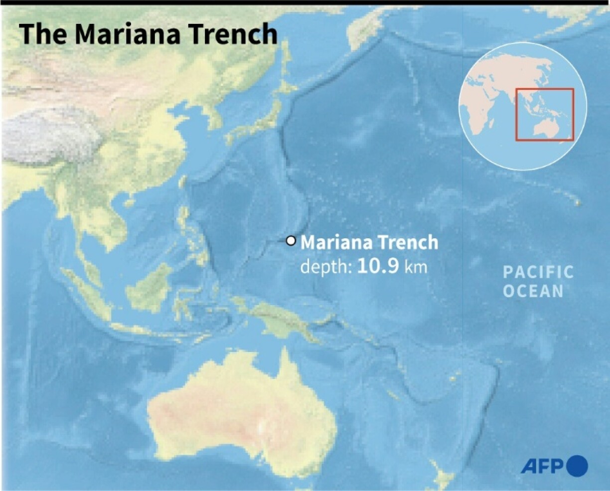 A Chinese submersible has found creatures thriving at nearly 10 kilometres below sea level in the Mariana Trench