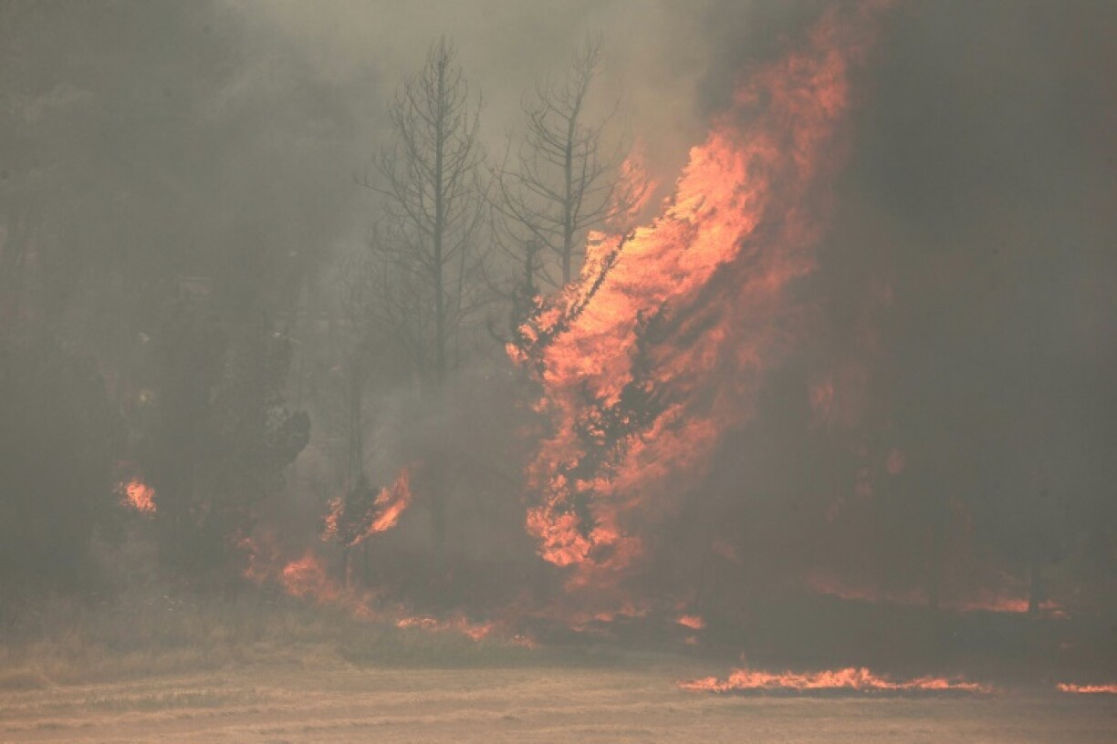Flames engulf trees during a forest fire near the central Israeli town of Beit Shemesh