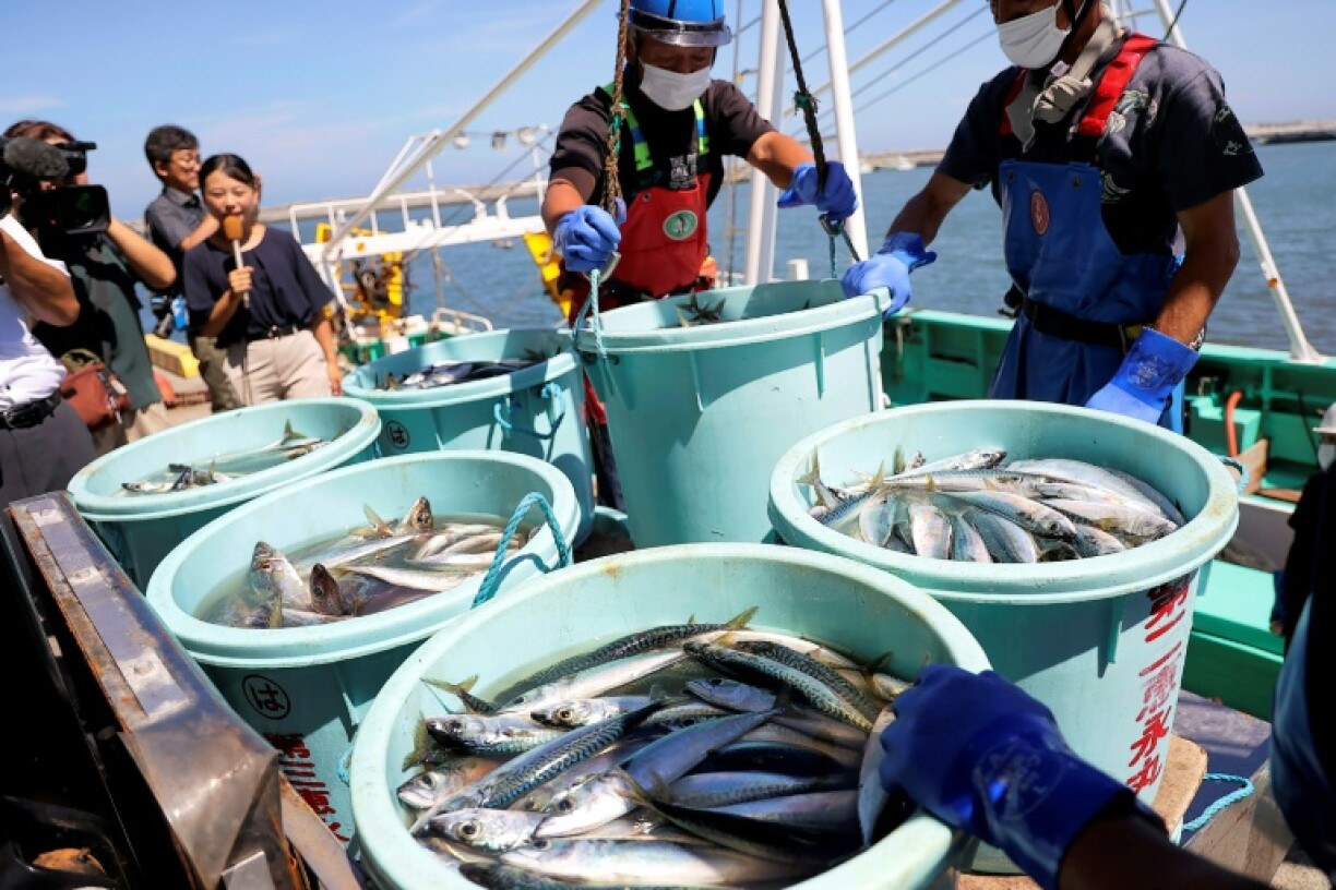Workers unload fish at a port in Fukushima prefecture in 2023, about a week after Japan began discharging treated wastewater from the Fukushima nuclear plant