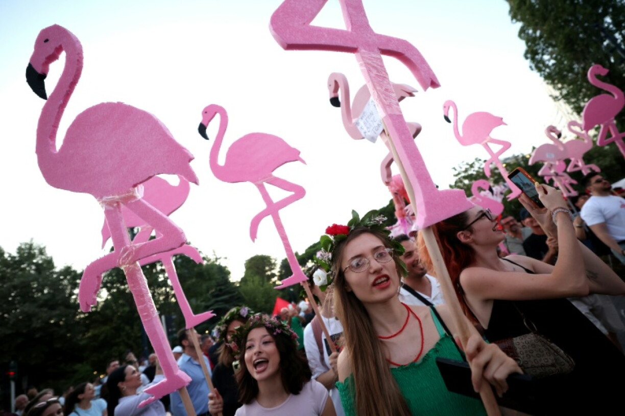 Manifestation contre la construction d'un complexe touristique de luxe près d'une zone naturelle protégée, le 4 juillet 2026 à Tirana, en Albanie