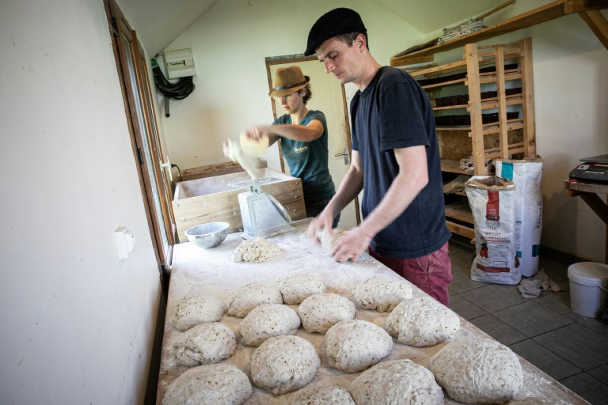 Arnaud Crétot (d), boulanger et torréfacteur, prépare sa pâte à pain qui sera cuite dans un four solaire, le 2 mai 2023 à Montville, près de Rouen, en Normandie
