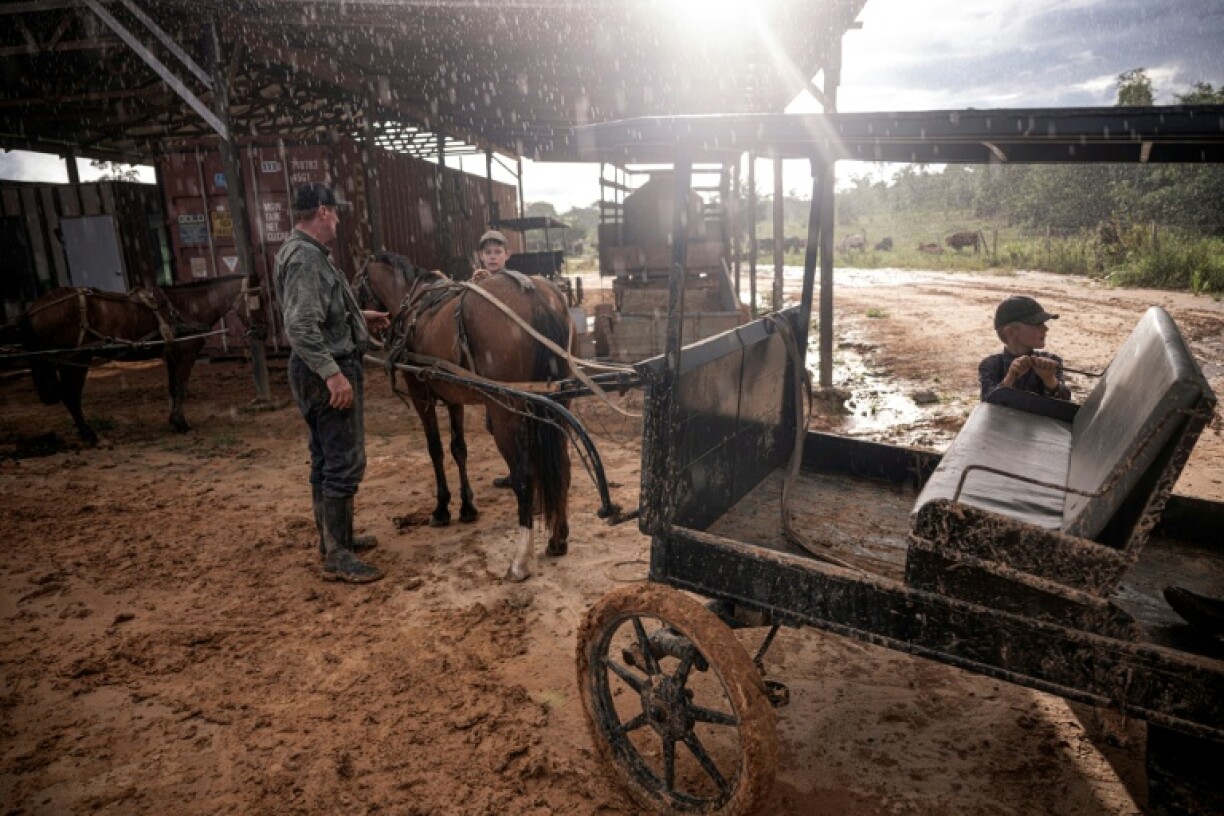 Mennonites began fleeing religious persecution in Europe in the 17th century, mostly to North America