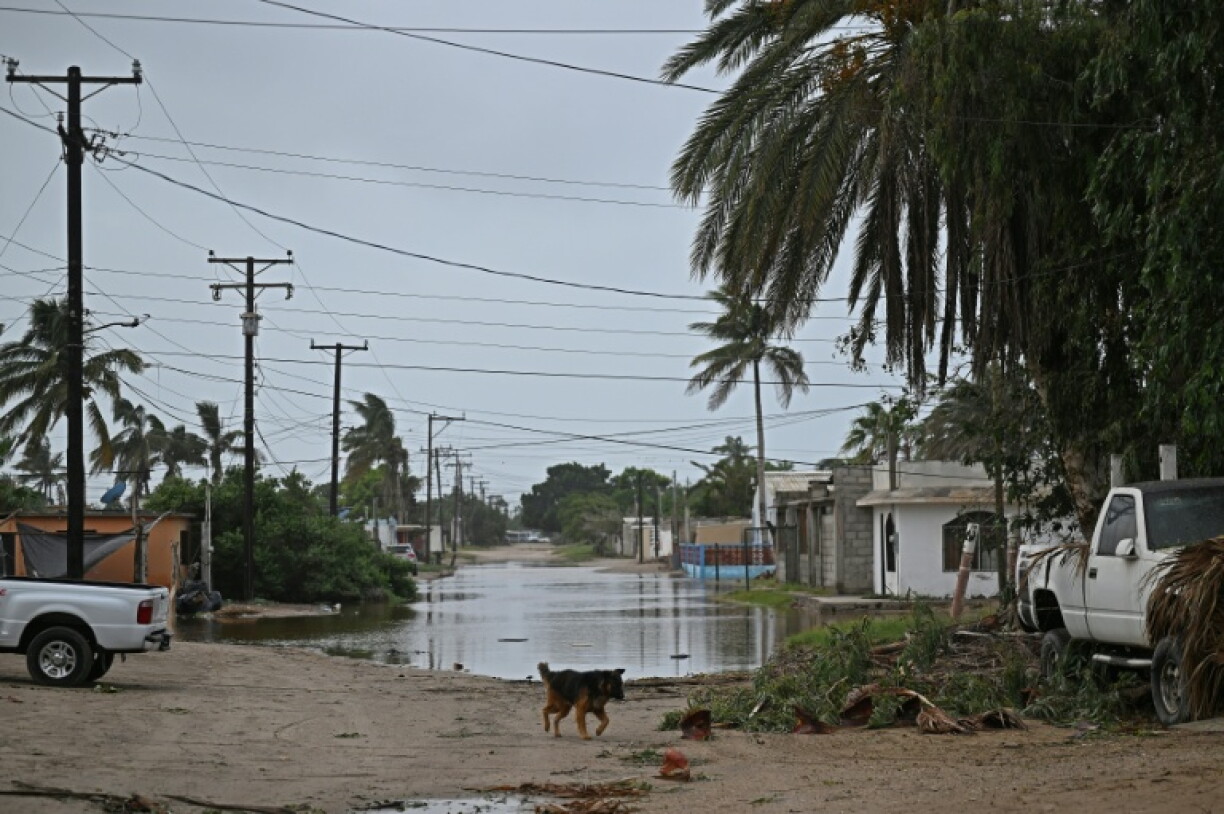 Streets in the Mexican Pacific town of Puerto San Carlos, on Baja California peninsula, were partially flooded following the passage of Hurricane Polo