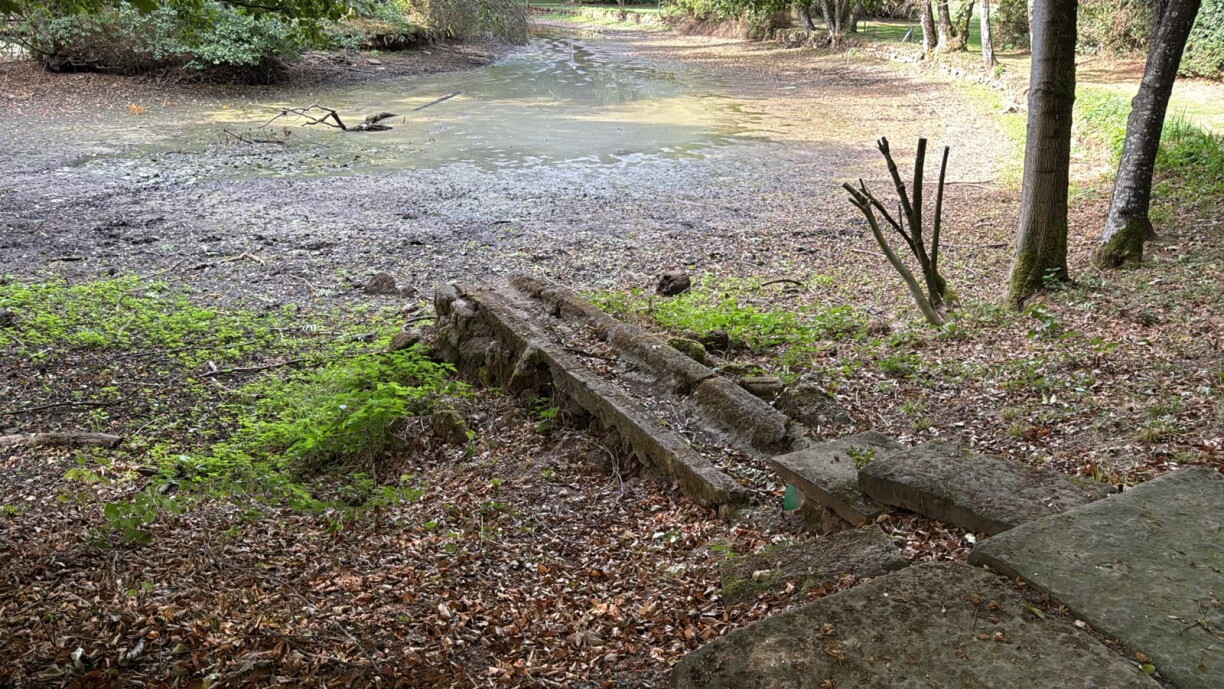 L'étang devrait être alimenté par ce ruisseau à sec.