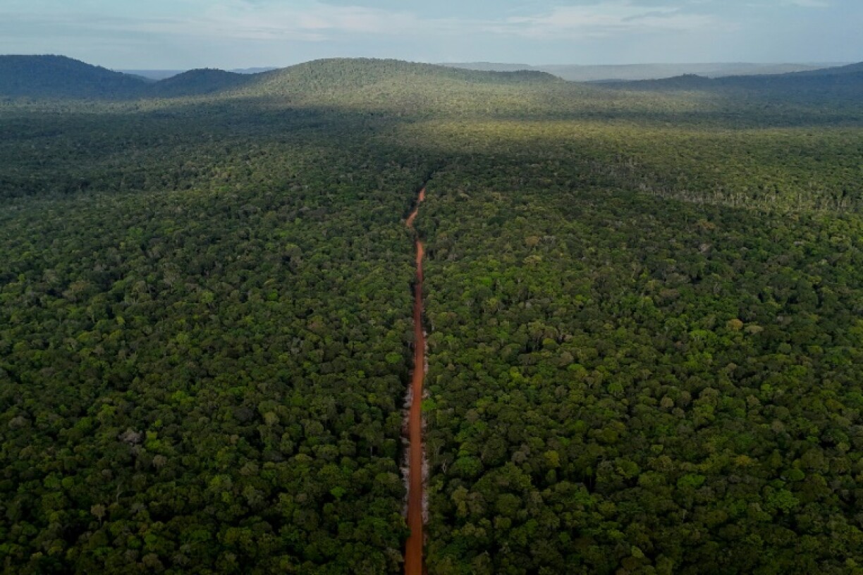 This aerial view shows 'The Trail,' a historic red dirt route through Guyana, which officials are hoping to turn into a major highway that can transform the country's economy