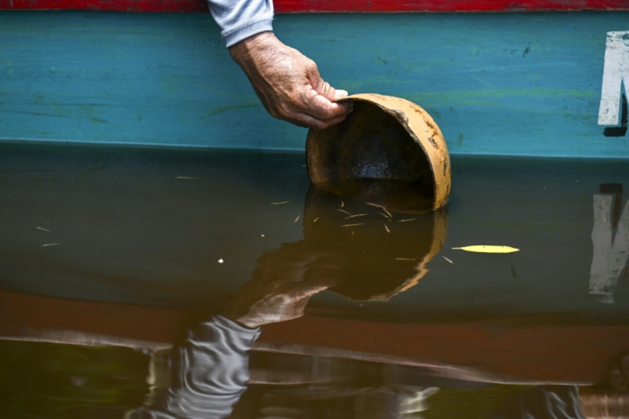 A Guatemalan conservation worker releases a group of tropical gar fry raised in captivity into a lagoon as part of a program to ensure the survival of the country's 'fossil fish'