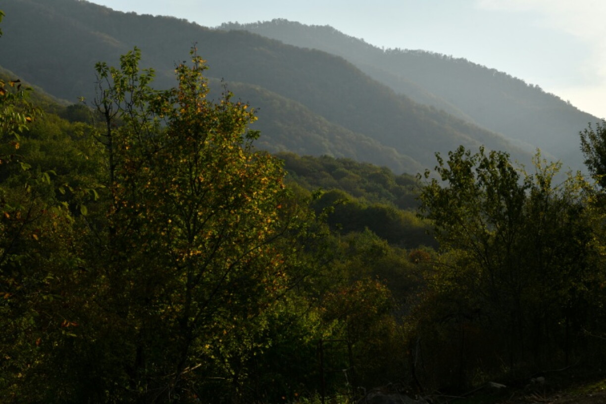 A battle over the fate of a forest has exposed tensions between Armenia and Azerbaijan