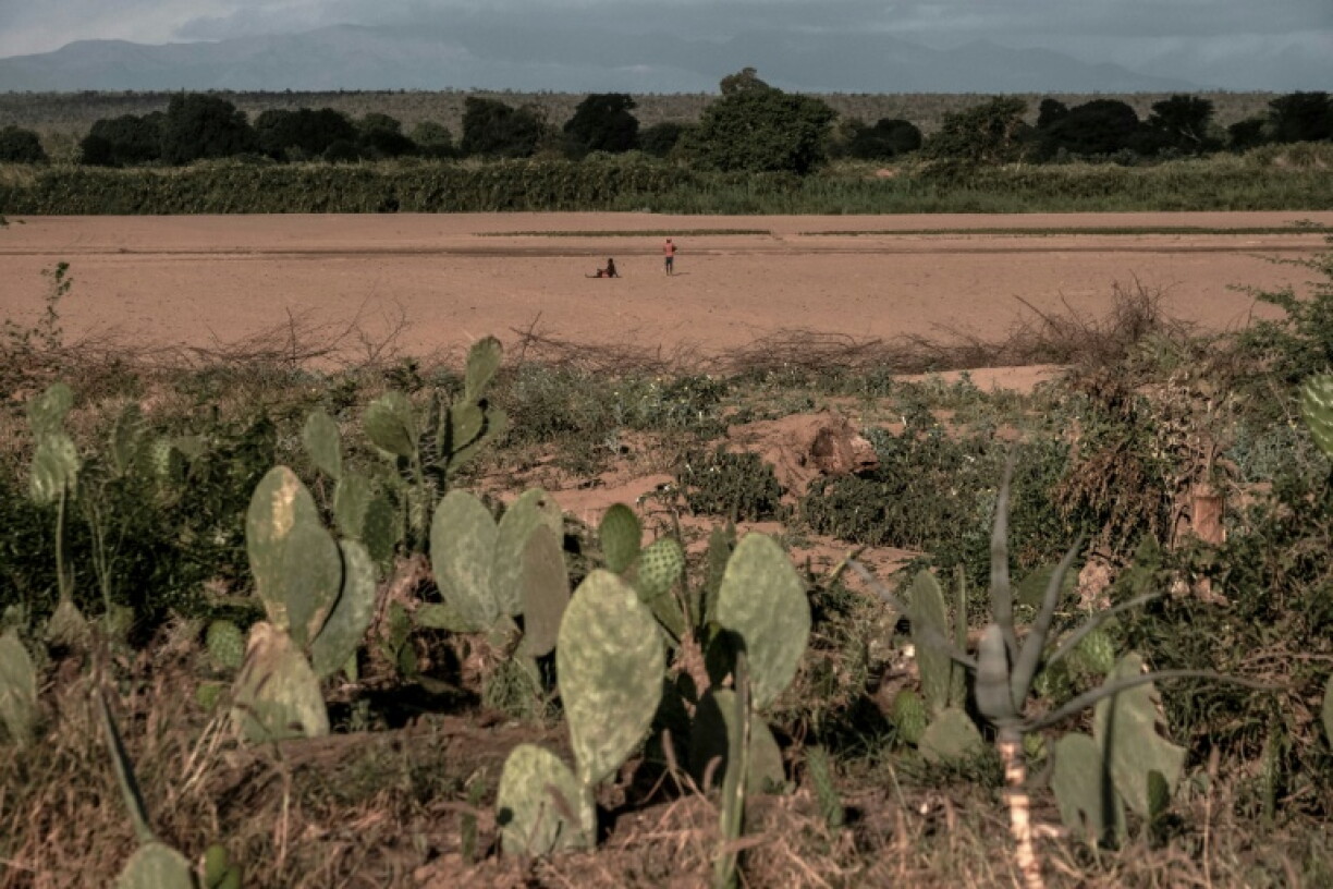 Madagascar has suffered five severe droughts in the past 20 years, the World Food Programme says