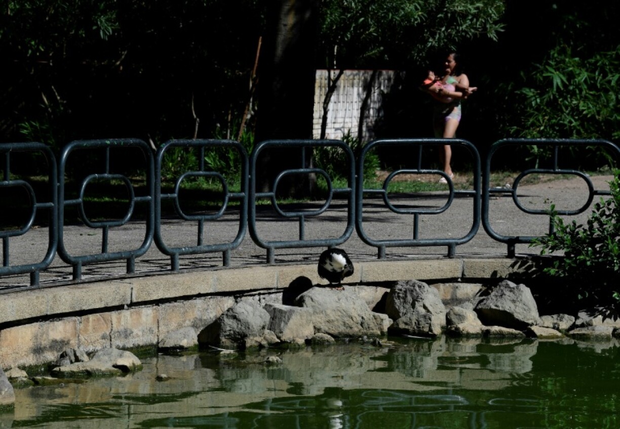 Seville, located in Andalusia, is home to the Maria Luisa park that attracts tourists