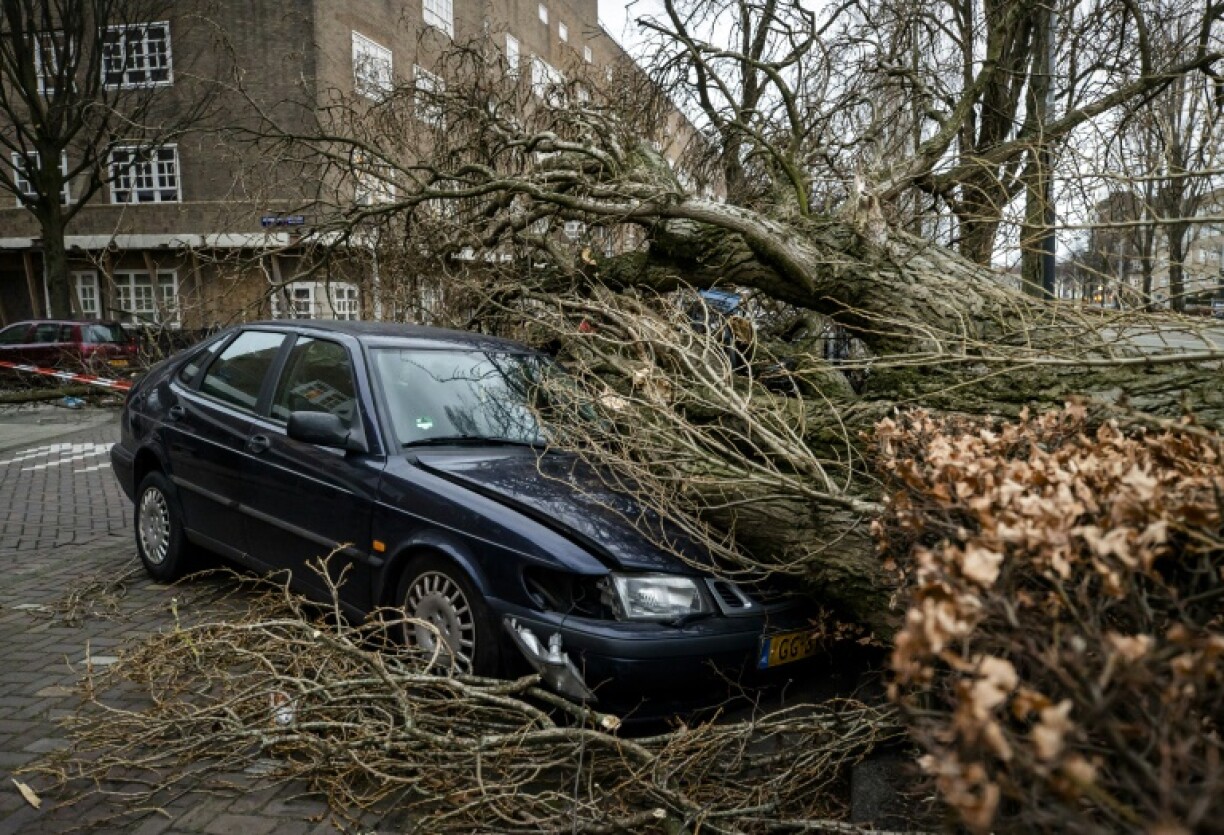 Après le passage de la tempête Eunice à Amsterdam, le 18 février 2022