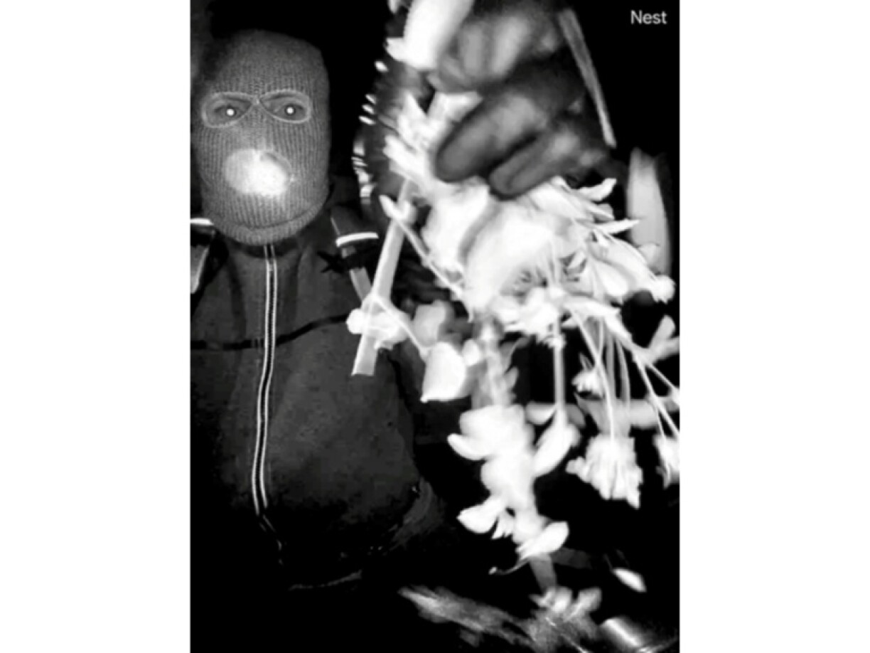 Im Fall der entführten Mutter von US-Starmoderatorin Savannah Guthrie ist US-Medienberichten zufolge ein Mensch zur Befragung festgenommen worden. CNN zufolge wurde bislang keine Anklage gegen die festgenommene Person erhoben.