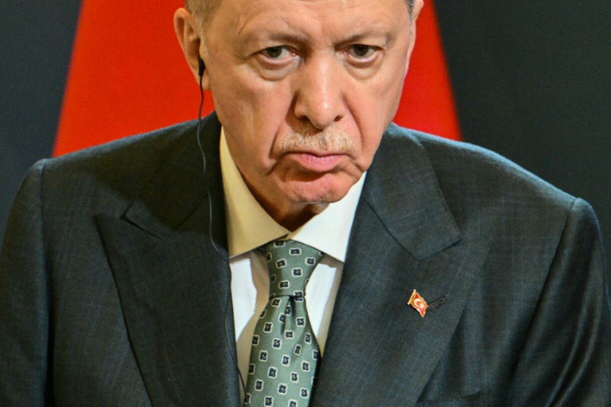Insulting President Recep Tayyip Erdogan is a criminal offence in Turkey