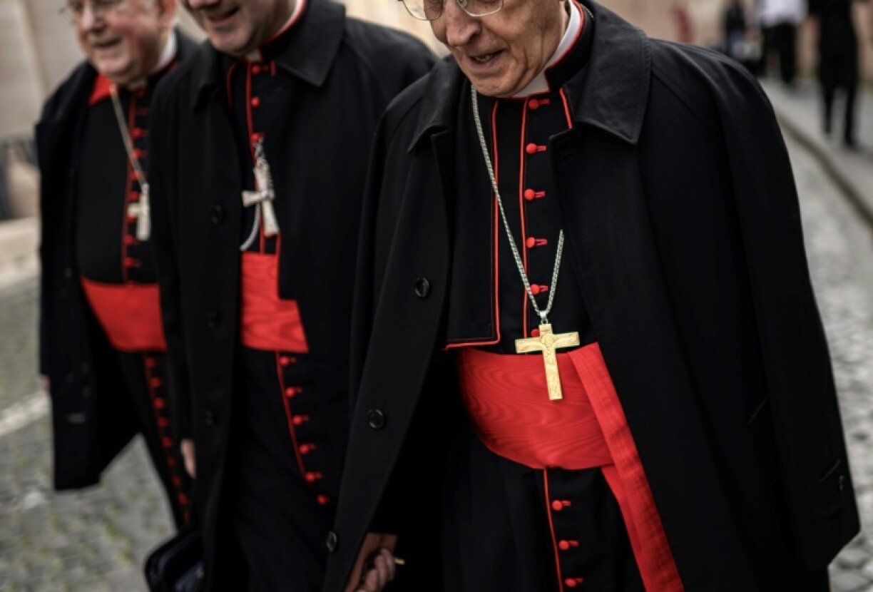 Cardinals from around the world have been returning to Rome for the funeral and the election of a new pope