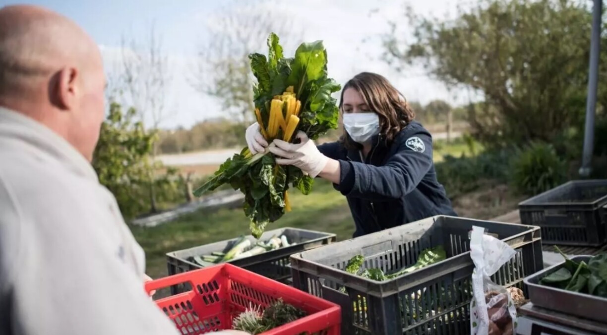 Une femme remplit le panier d'un membre de l'AMAP (Association pour le maintien d'une agriculture paysanne), à Campbon, dans l'ouest de la France, le 2 avril 2020.