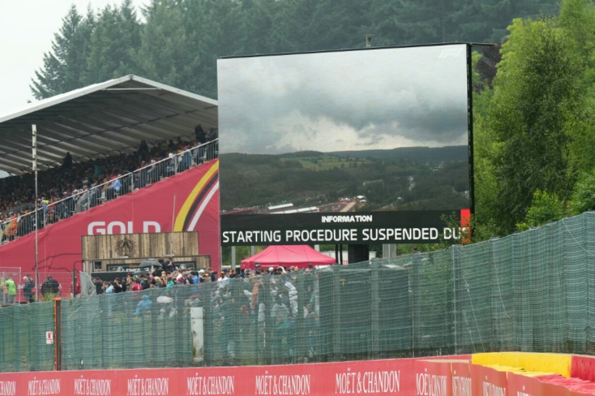 The decision to wait till the rain had passed before starting the Belgian Grand Prix met with a mixed reaction from the drivers