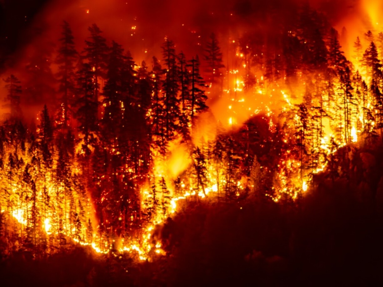 Wildfires scorched Mount Underwood on Canada's Vancouver Island in August this year