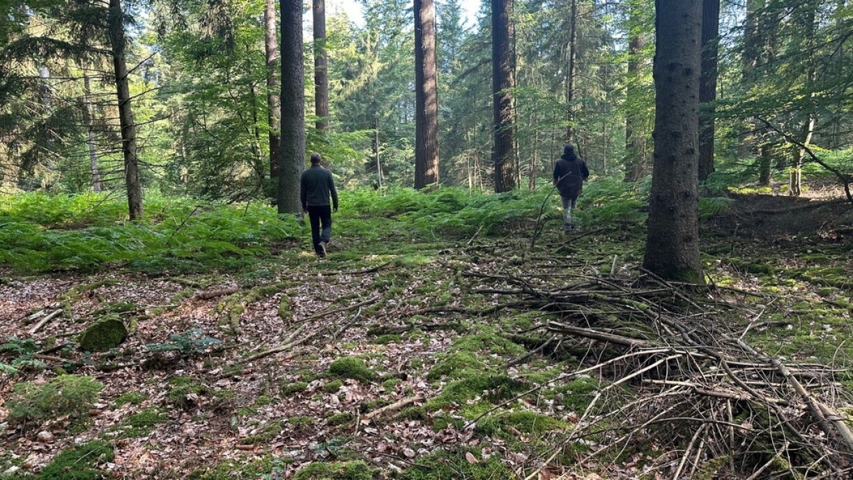 D'Sich nom Sammy geet och um Donneschdeg weider