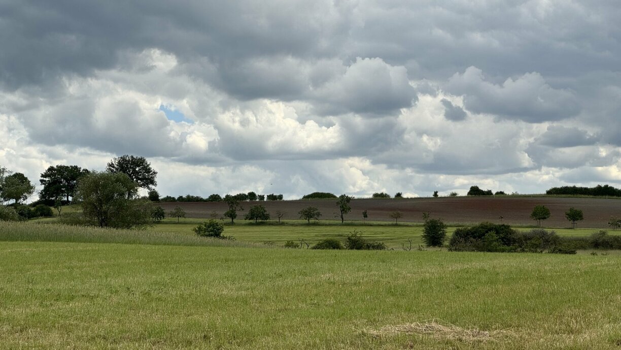 E Landschaftsbild, dat d'Doris an den Nick gäre gesinn: Nieft Akerfelder och Wise mat Blummen an dotëscht Hecken a Beem, déi Déieren e geschützte Wee bidden.