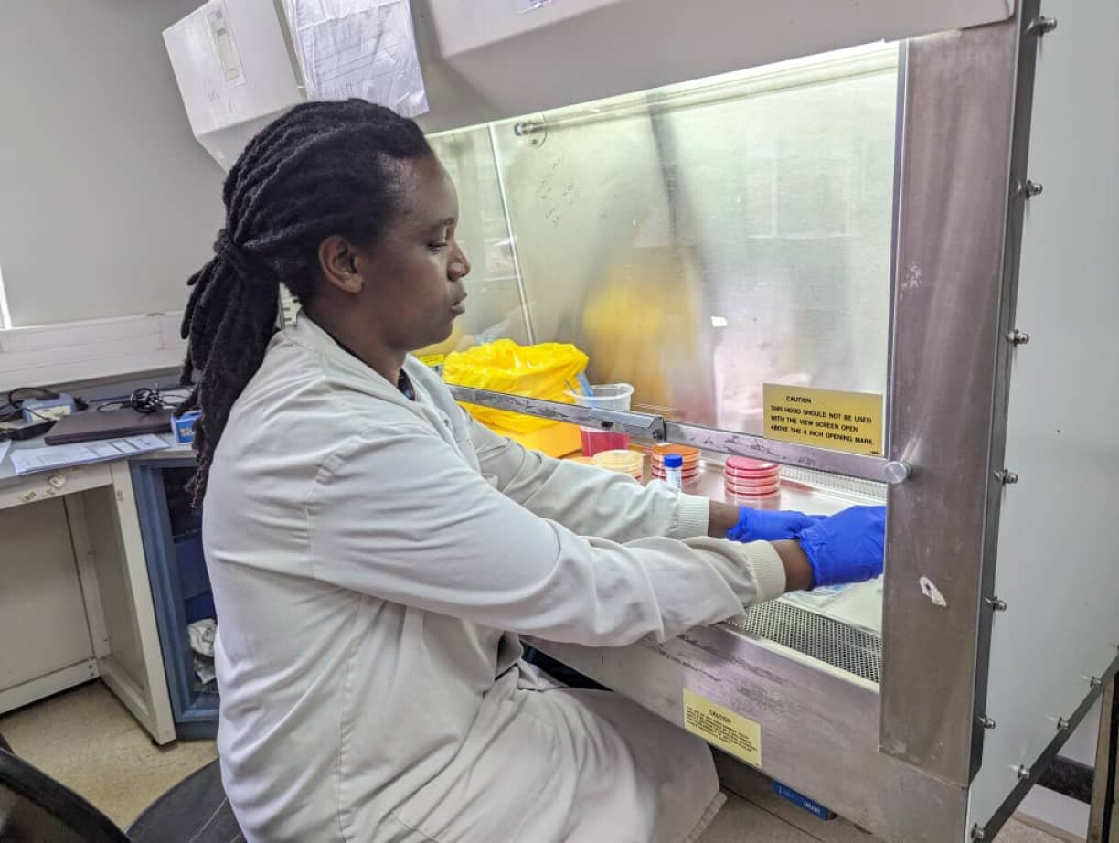 D'Laborantin Mary Charles ënnersicht Prouwen vu Shigellen-Bakterien. Am nämmlechte Labo gëtt och mat Cholera-Prouwe geschafft.