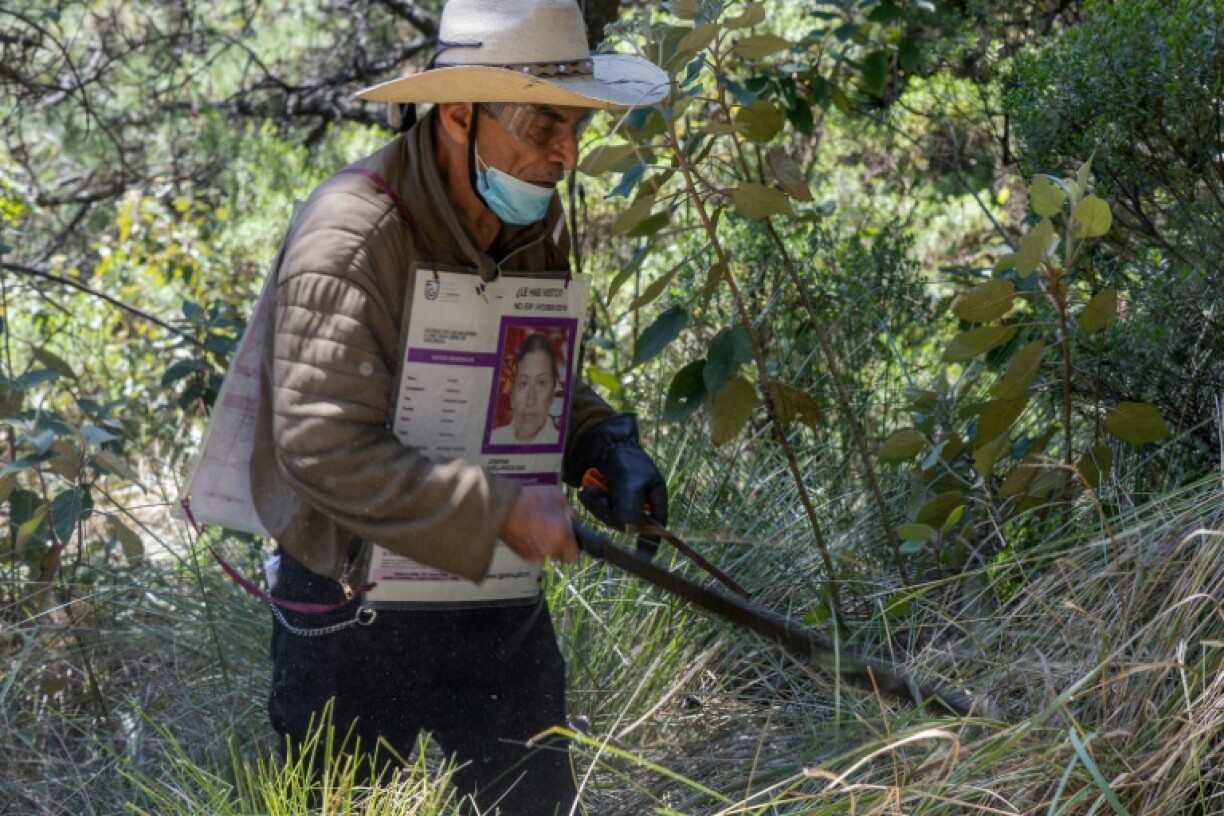 Families of dozens of Mexicans feared killed and buried in the woods south of the capital on Thursday joined a colossal search operation