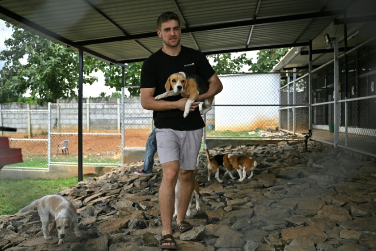 Itamar Bitan, cofondateur de Dognosis, tient un chien dans ses bras dans un chenil de son établissement, le 28 juillet 2026 à Kempohalli, en périphérie de Bangalore, en Inde