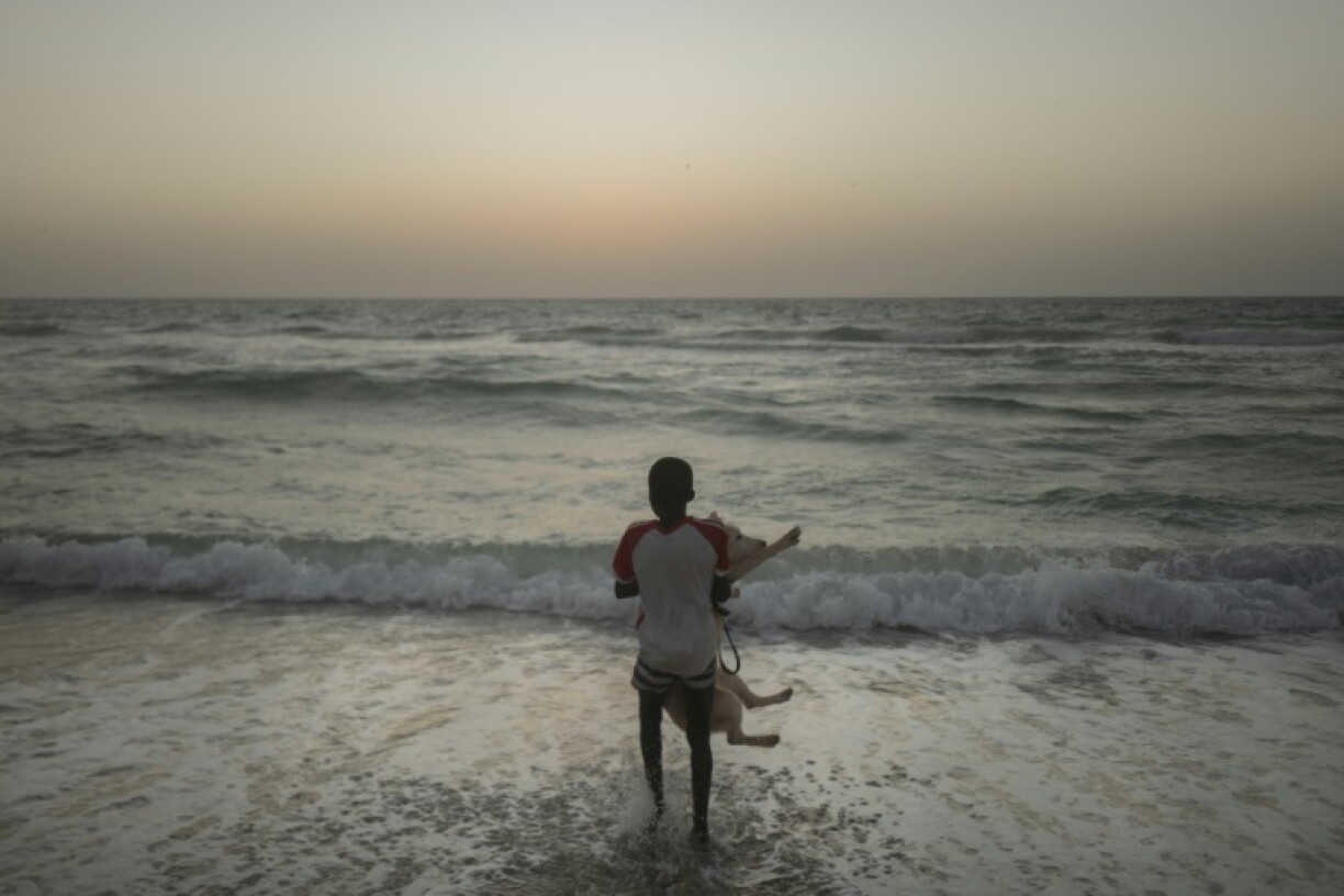 Un enfant porte un chien husky sibérien dans la mer, sur une plage de Nouakchott, en Mauritanie, le 8 octobre 2024
