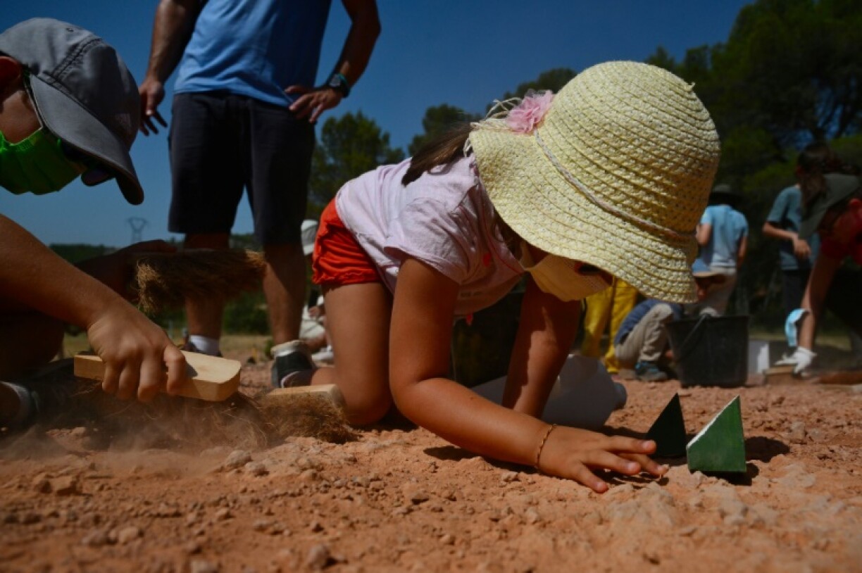 In the Cretaceous period, the Provencal countryside's flooded plains and silty-clayey soils offered ideal conditions for dinosaurs