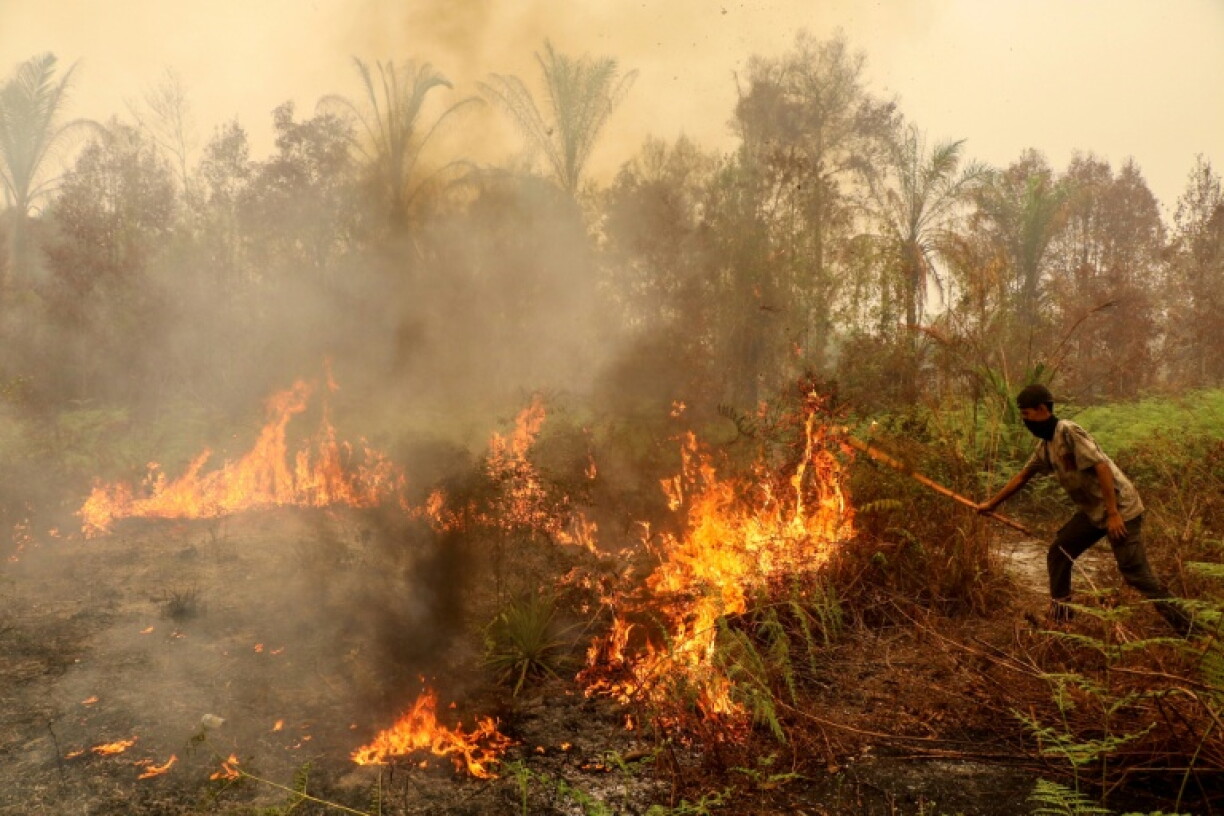 Fires in parts of Indonesia have sent thick haze across the region