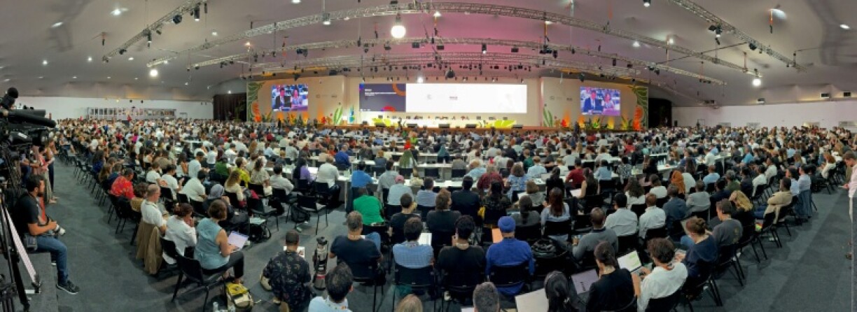 Nearly 200 countries approved the deal by consensus after two weeks of climate negotiations on the fringes of the rainforest