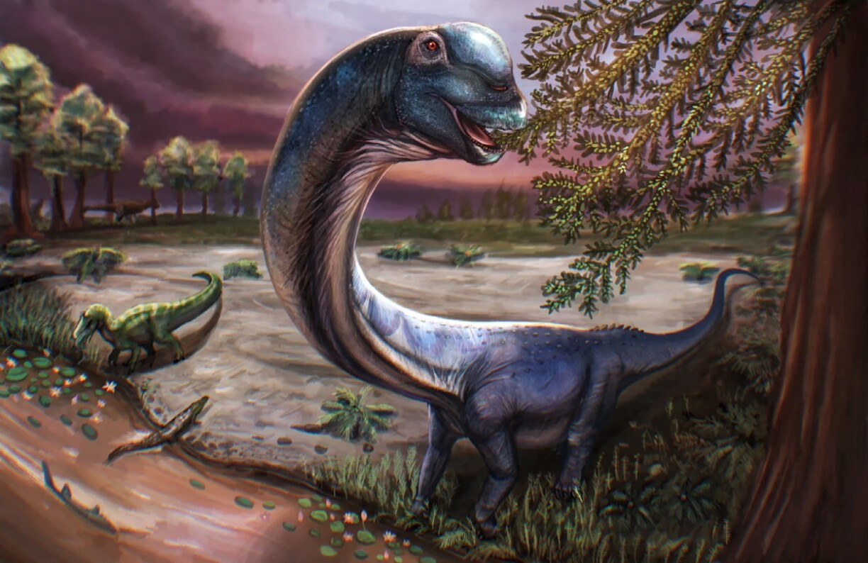 Cette illustration distribuée par Patchanop Boonsai, publiée le 14 mai 2026, présente l'interprétation de l'artiste du dinosaure sauropode Nagatitan, datant de la période du Crétacé.