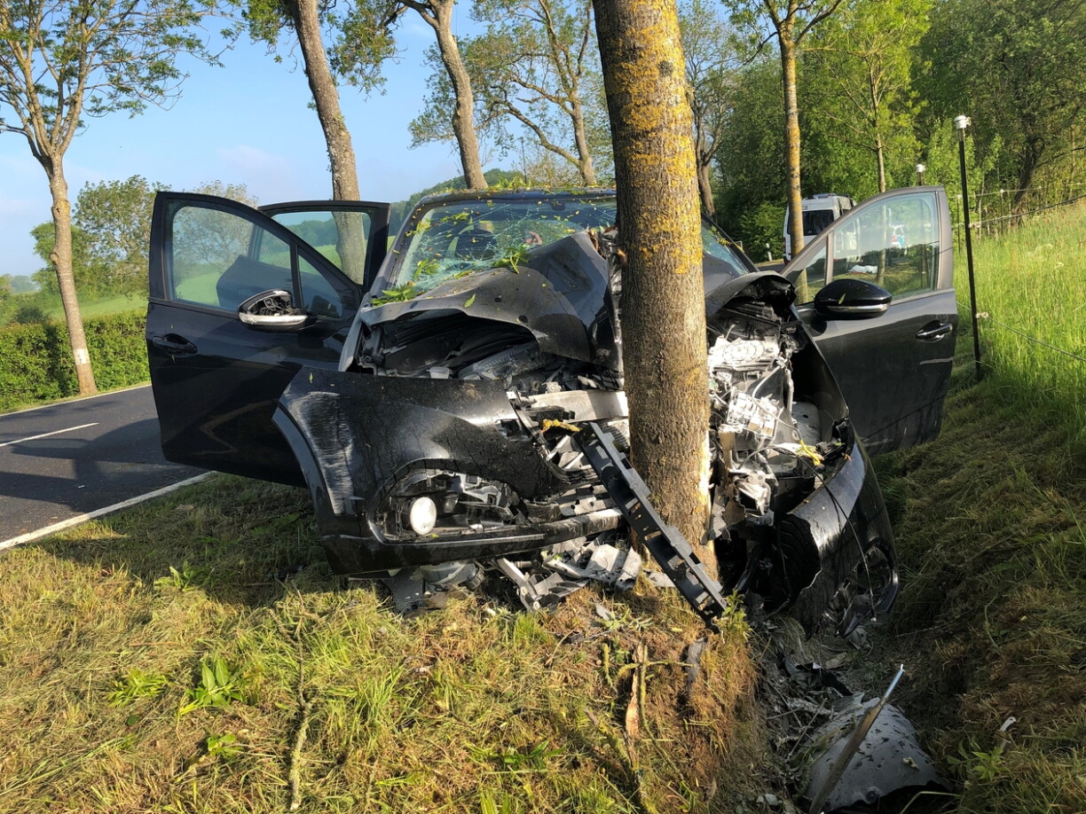 Les arbres au bord des routes restent un facteur d'accident.