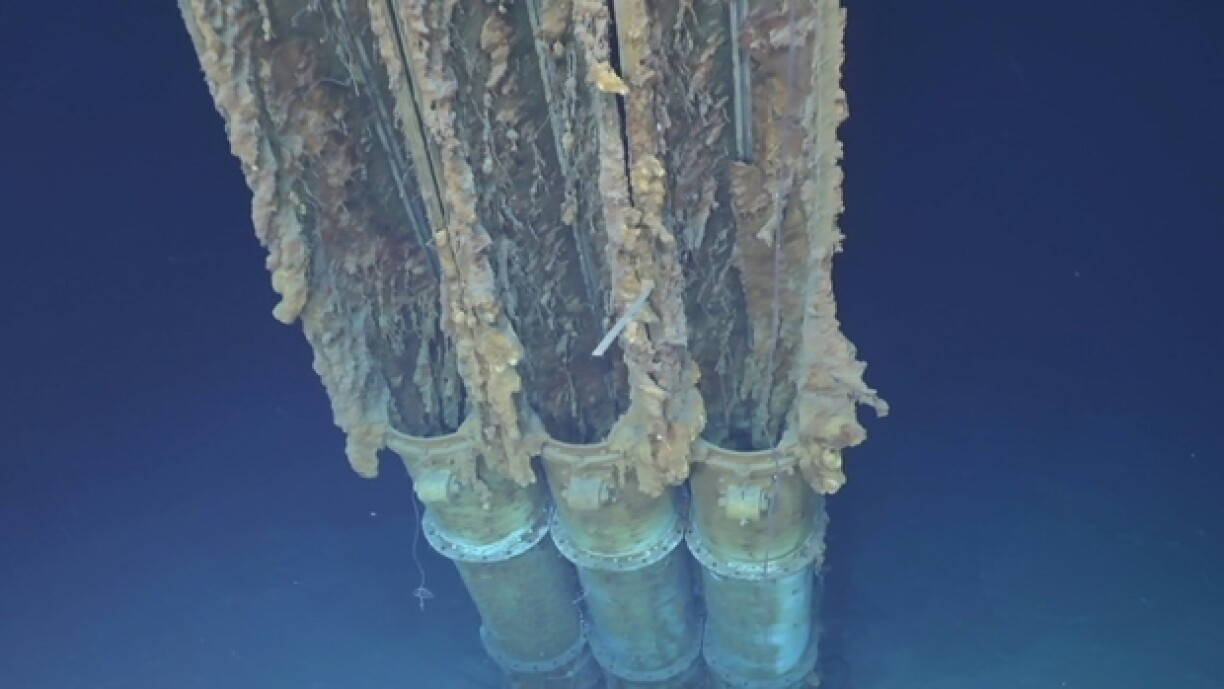 D'Torpedorouer vun der