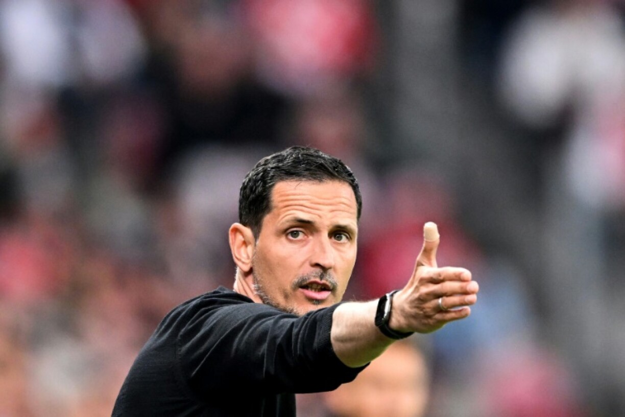 Frankfurt coach Dino Toppmoeller has his side on course for their best league finish since the mid-90s.