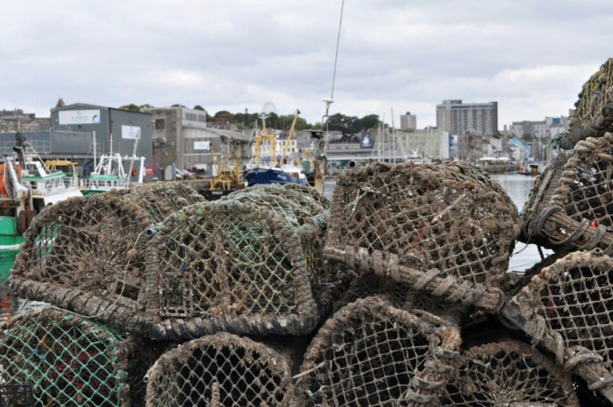 Crab pots lie on the quayside at Plymouth Harbour, southwest England, as fishermen say they are catching larger numbers of octopus, which appear to have been drawn to the area by rising sea temperatures