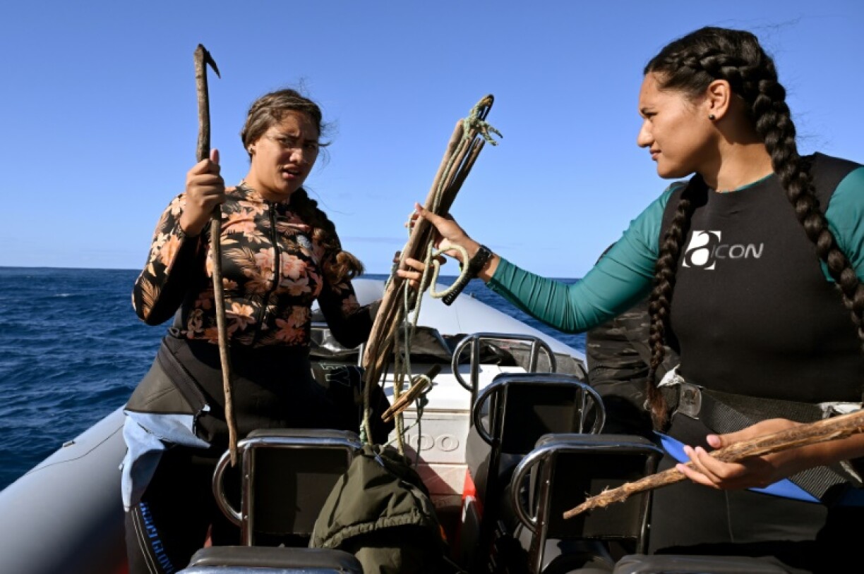 Named for their hundreds of venomous spikes, crown-of-thorns starfish have as many as 21 fleshy arms and can grow larger than a car tyre