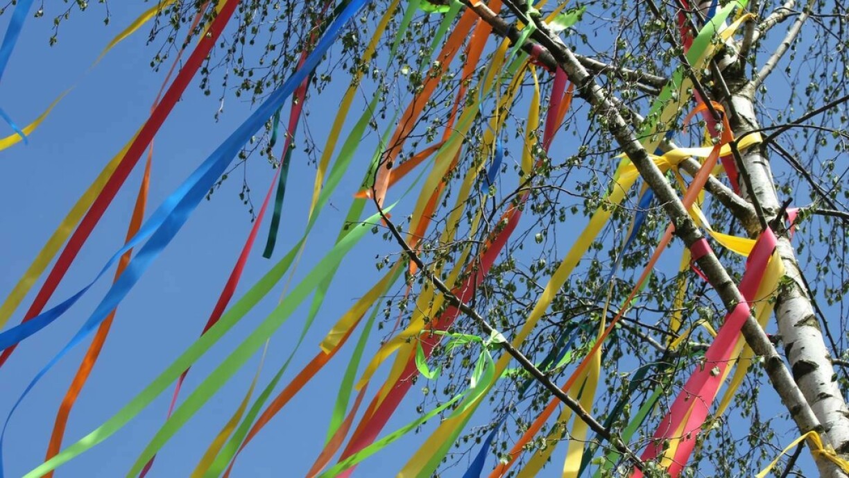 May tree in Germany.