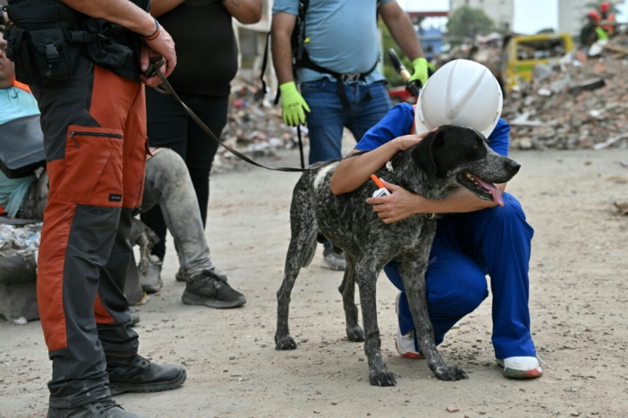Un bénévole étreint le chien de sauvetage d'une équipe de sauveteurs espagnols après le double séisme au Venezuela, le 3 juillet 2026 à Caraballeda, dans l’État de La Guaira