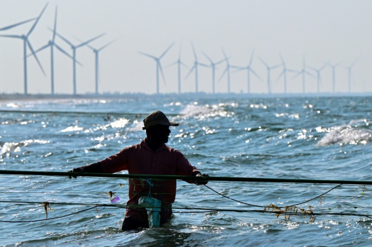 The government aims to generate 70 percent of the country's electricity from renewable sources by 2030, including wind power. But it has frozen new projects in Mannar to ease local opposition