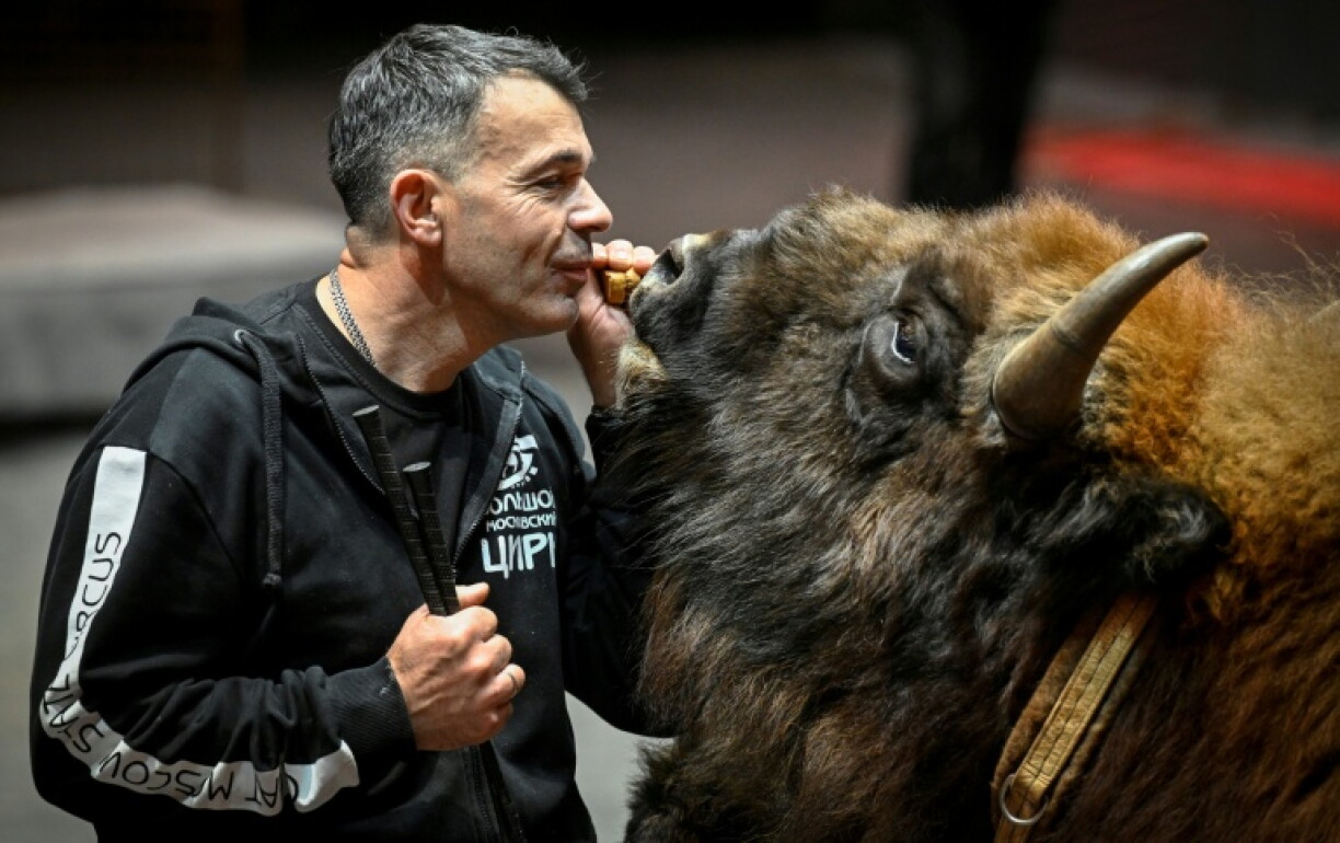 Deforges works alongside Russia's divisive big cat trainer Edgard Zapashny