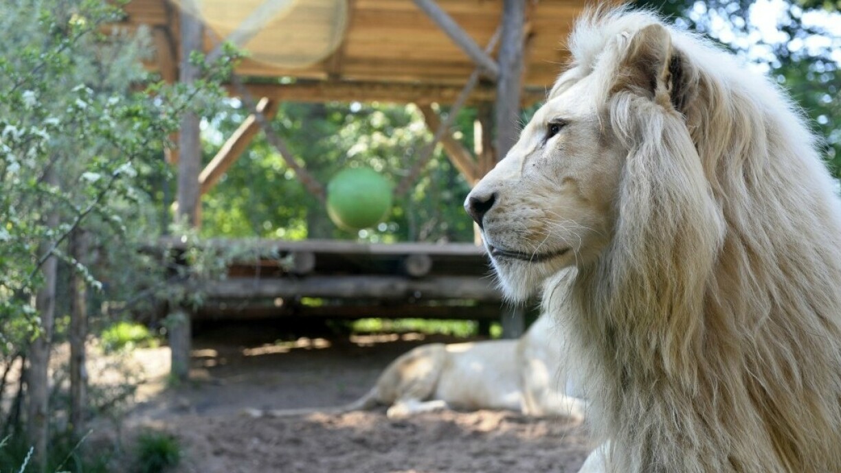 Image d'illustration