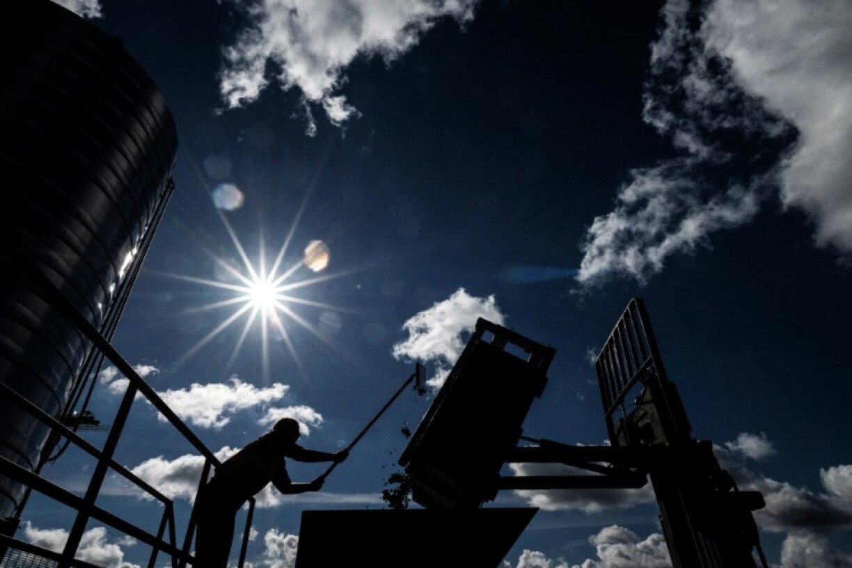 Les vendanges de 2023 dans la région avaient été émaillées d'incidents. Quatre personnes travaillant à la récolte du raisin sont notamment décédées lors d'un mois de septembre particulièrement chaud cette année-là