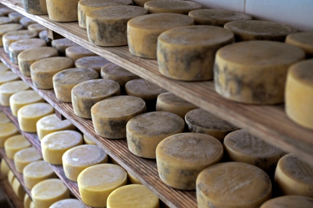 Des fromages entreposés à Alagoa, dans l'Etat brésilien de Minas Gerais, le 1er décembre 2021