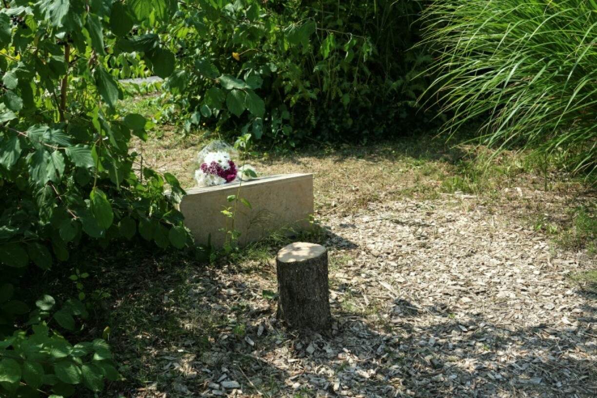 An olive tree, planted in 2011 in Ilan Halimi's memory, was cut down, probably with a chainsaw, in the northern Paris suburb of Epinay-sur-Seine