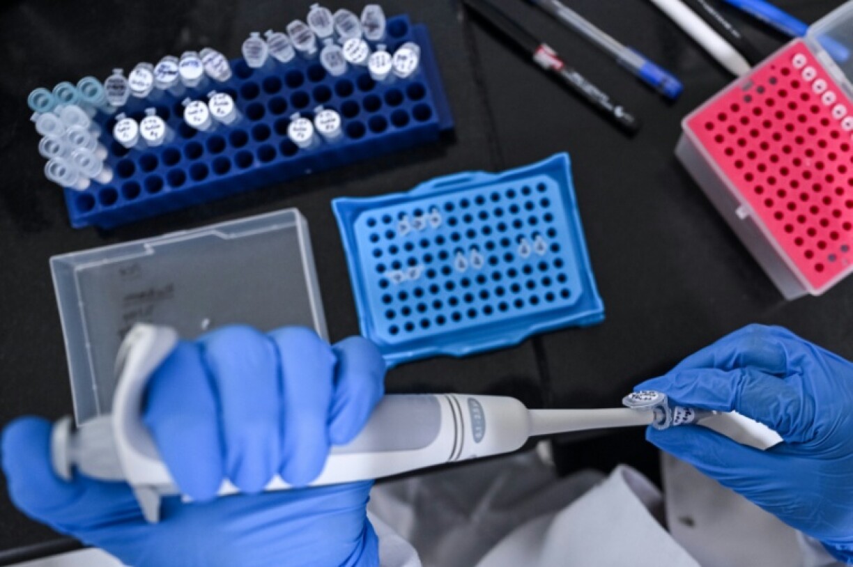 Un chercheur travaille dans le laboratoire de vaccins de la société pharmaceutique Panacea Biotec, le 29 janvier 2026 à New Delhi, en Inde