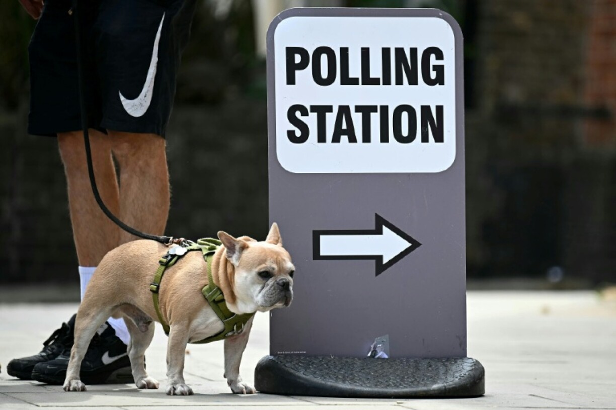 A dog stands by a polling station sign in Hackney, east London, on July 4, 2024 when Britain held its last general elections