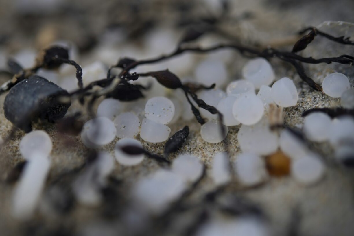 Industrial plastic granules known as 'mermaid tears' are scattered everywhere