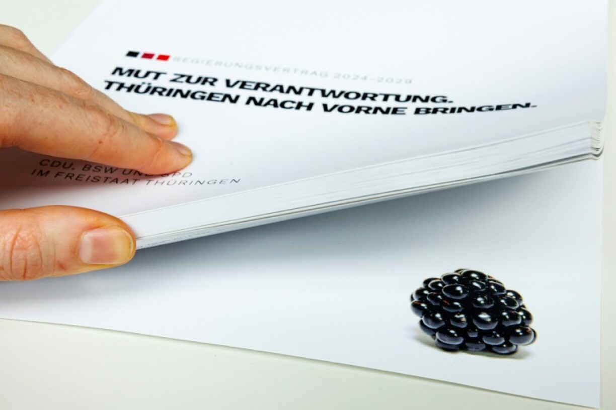A blackberry decorates a CDU-SPD-BSW coalition agreement in the eastern German state of Thuringia